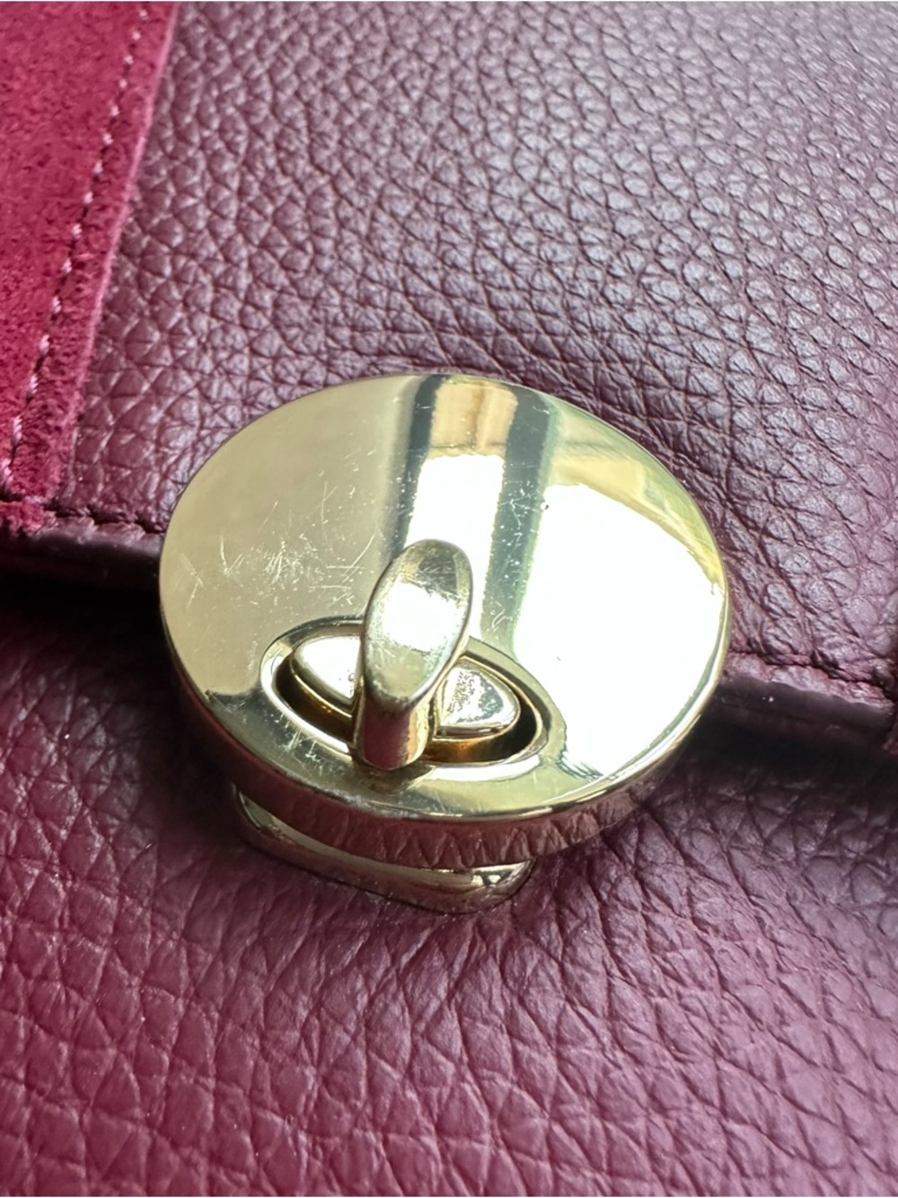 Clove + Revel Genuine Leather Crossbody Bag | Suede Detail Gold Lock Mini Bag - Picture 3 of 16